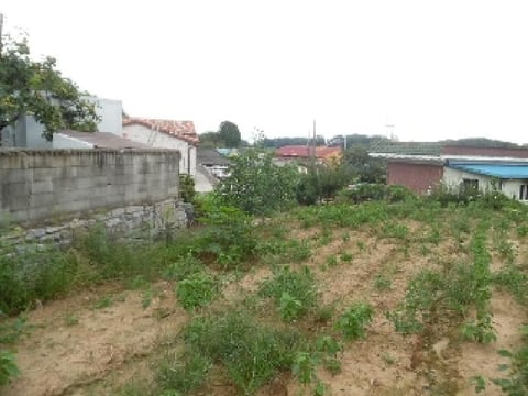 물건 사진 28