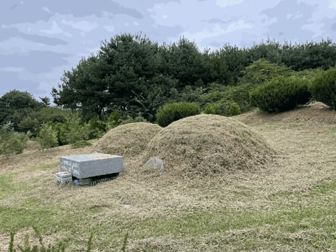 물건 사진 56