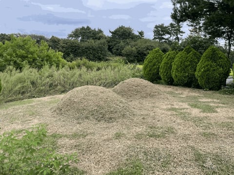 물건 사진 57