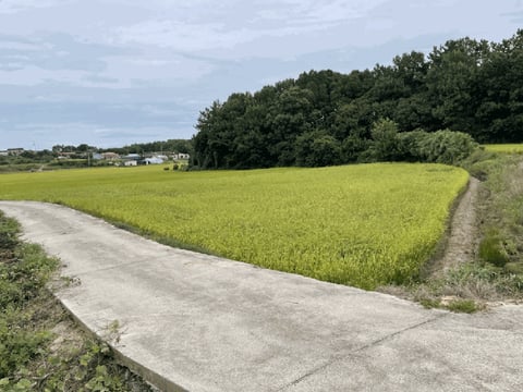 물건 사진 58