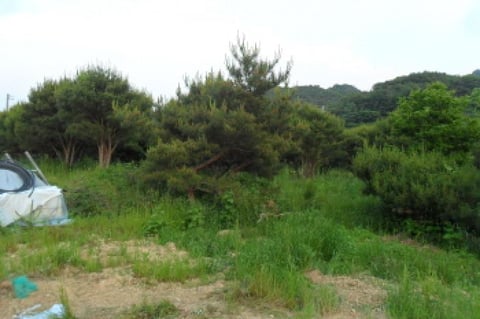 물건 사진 13