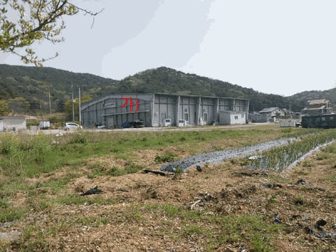 물건 사진 50
