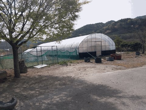 물건 사진 59