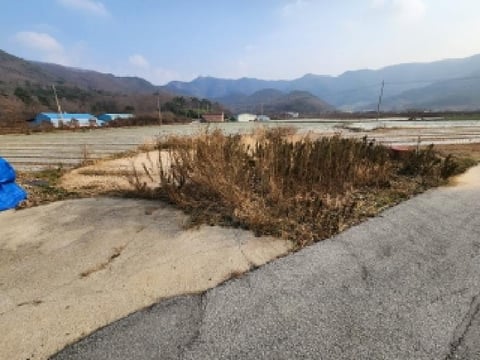 물건 사진 2