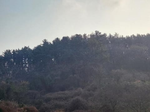 물건 사진 5