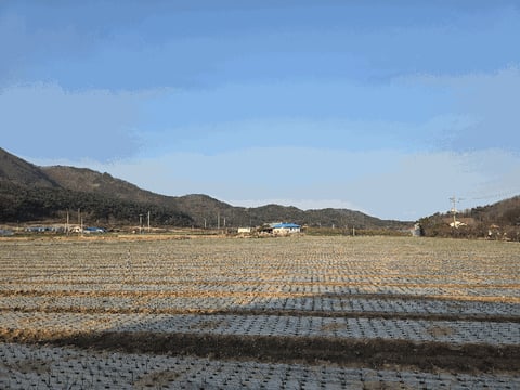 물건 사진 7