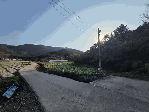 물건 사진 11
