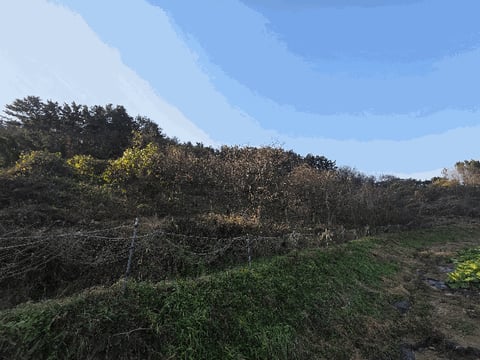 물건 사진 12