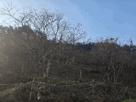 물건 사진 14