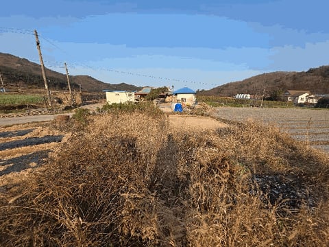 물건 사진 9