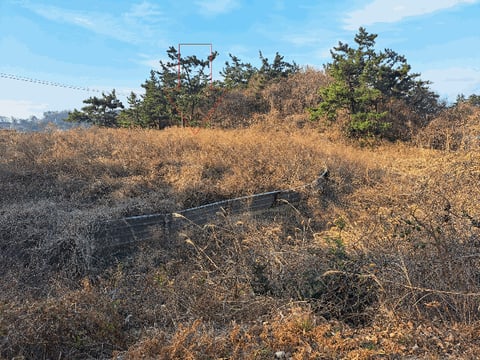 물건 사진 15