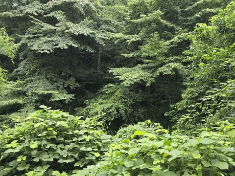 물건 사진 30