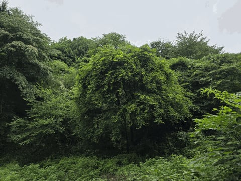 물건 사진 17