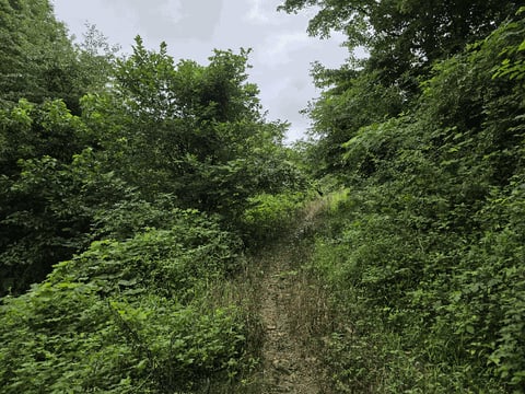 물건 사진 18