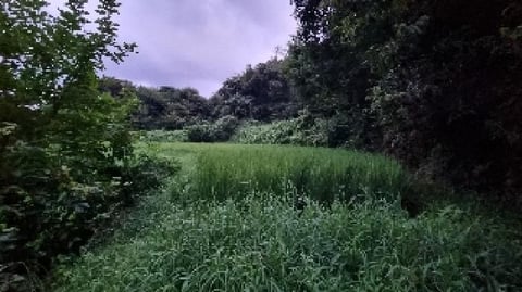물건 사진 5