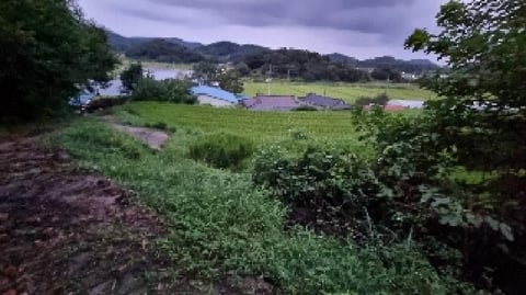 물건 사진 6