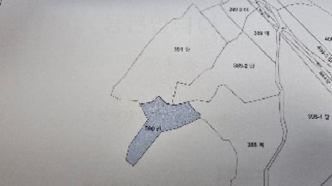 물건 사진 7