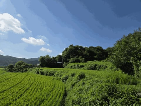 물건 사진 8