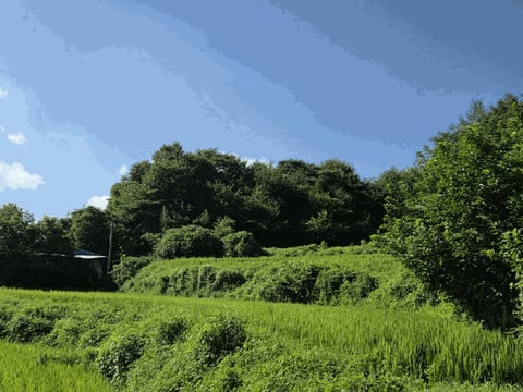 물건 사진 10