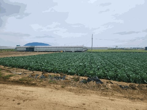 물건 사진 4