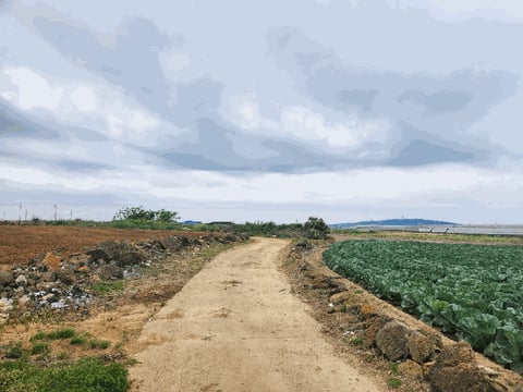 물건 사진 5