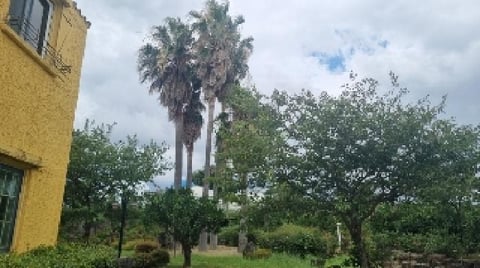물건 사진 12