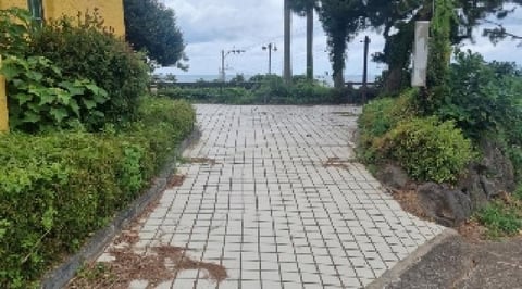 물건 사진 14