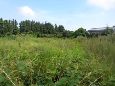 물건 사진 1
