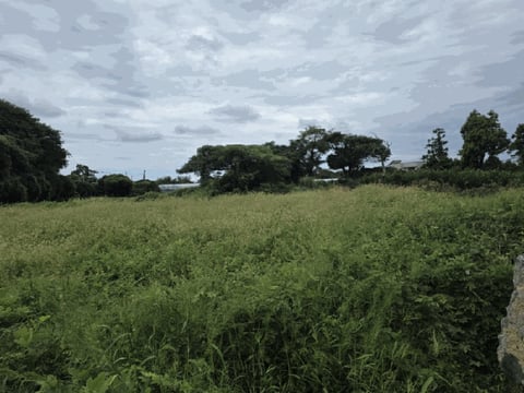 물건 사진 22