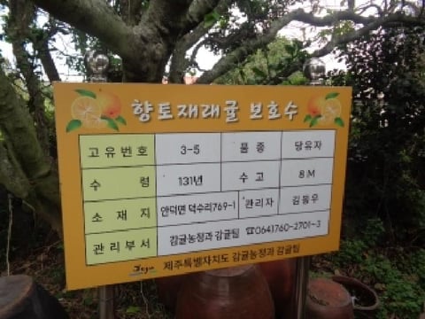 물건 사진 17