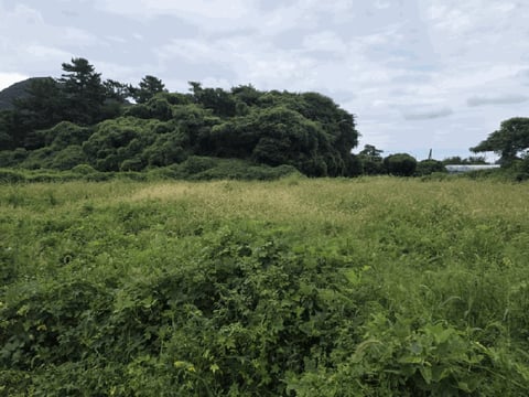 물건 사진 21