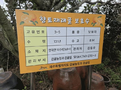 물건 사진 38