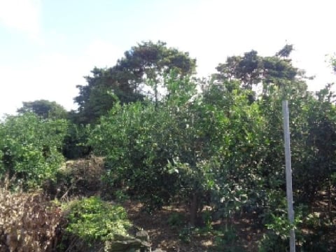 물건 사진 15