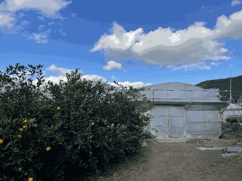 물건 사진 28
