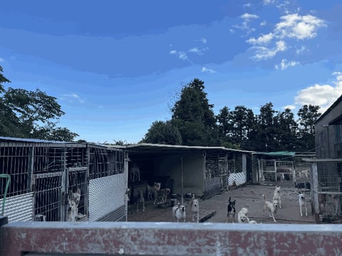 물건 사진 36
