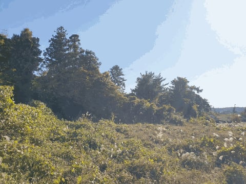물건 사진 27