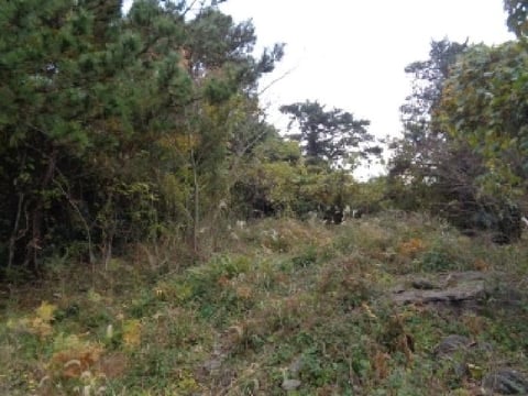 물건 사진 4