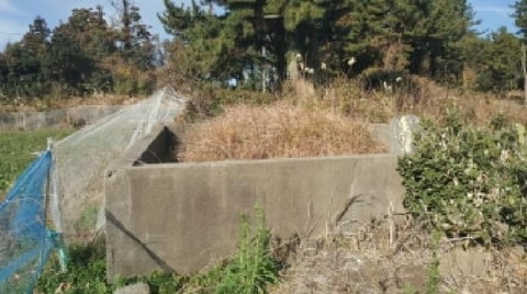 물건 사진 1