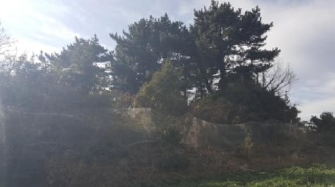 물건 사진 13