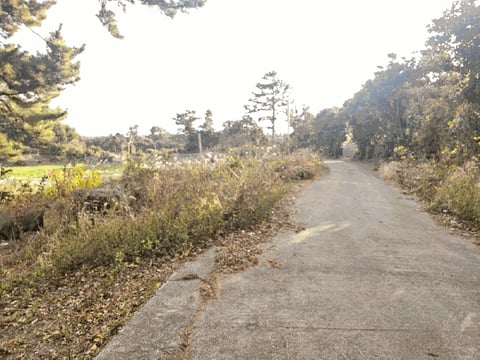 물건 사진 21