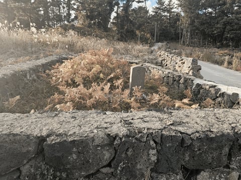 물건 사진 22