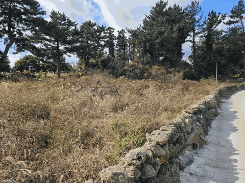 물건 사진 28