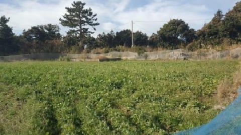 물건 사진 10