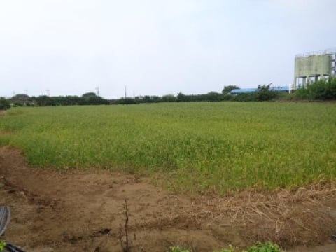 물건 사진 2