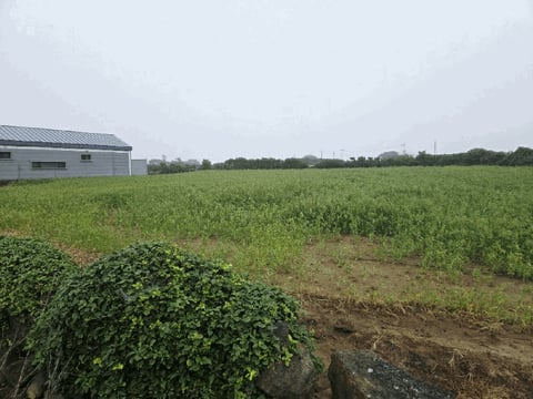 물건 사진 3