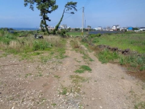 물건 사진 11