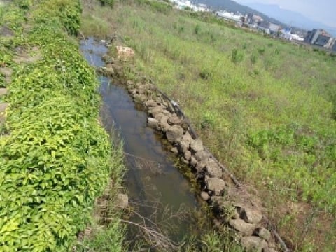 물건 사진 12