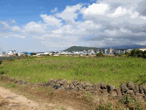 물건 사진 13
