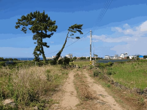 물건 사진 15