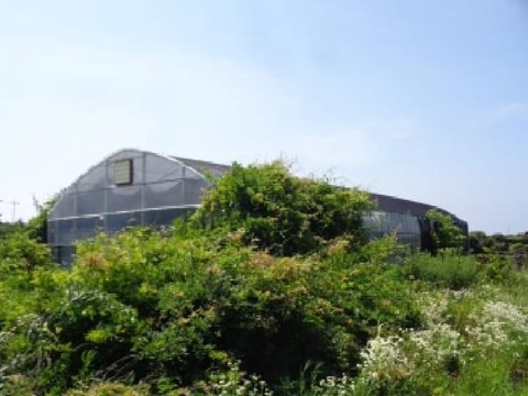 물건 사진 8